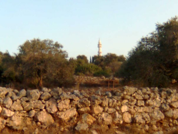 Picture for Kh. Nazlet Zeid Village - Palestine: : نزلة زيد من جهة الاحراش التي استشهد بها القسام