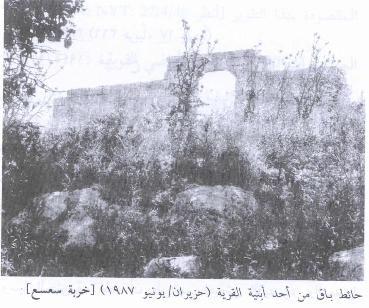 صورة لقرية خربة سعْسع - فلسطين: : أطلال بيوت القرية المدمرة 2002