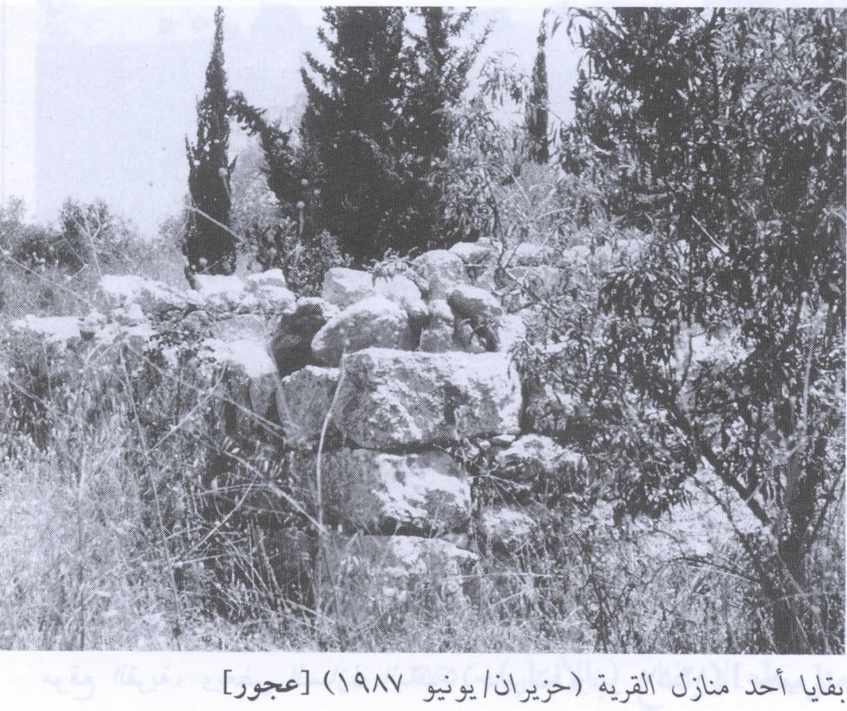 صورة لقرية عجور - فلسطين: : أطلال البيوت المدمرة 1987