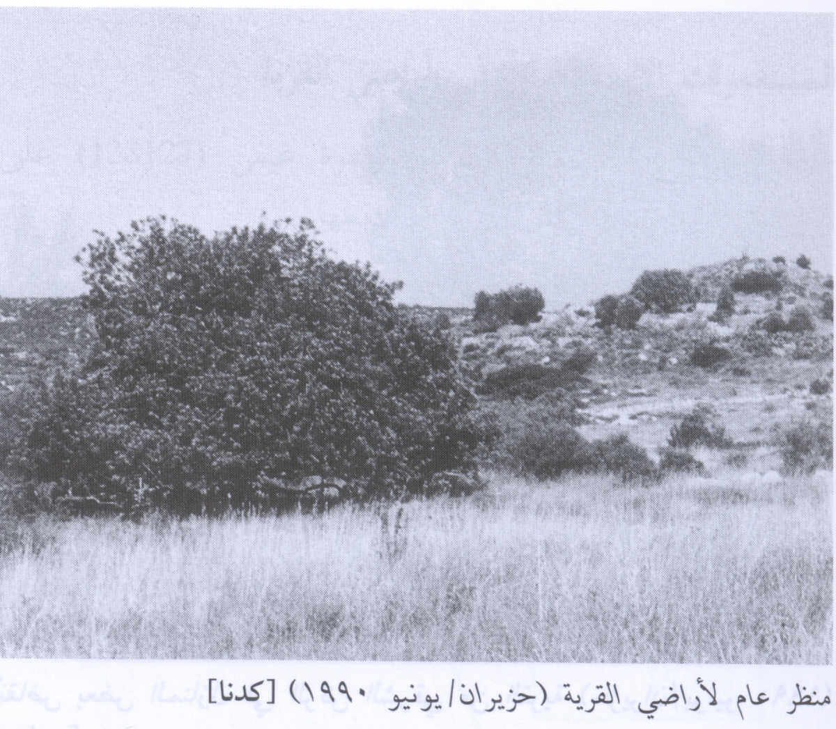 صورة لقرية كدنة - فلسطين: : منظر لموقع القرية التي دمرها الصهاينة وطهروا سكانها عرقياً، 1990. أطلال دمار بيوت القرية واضحة.