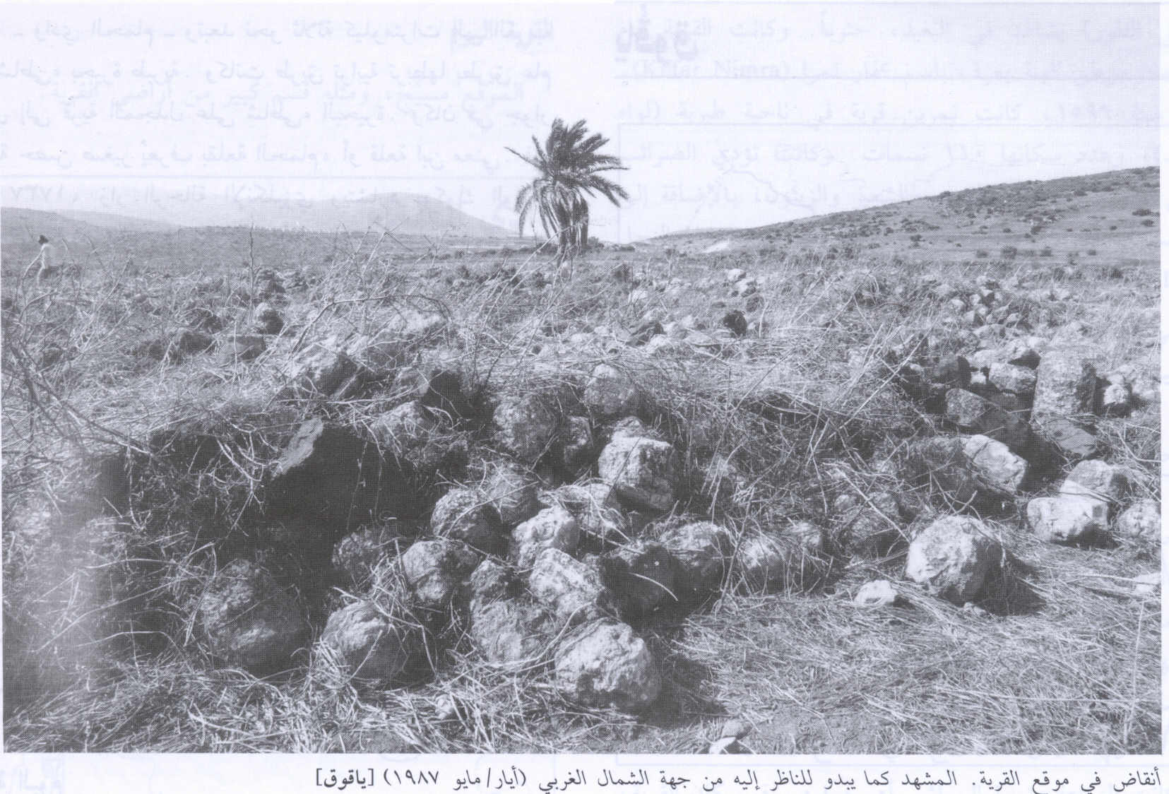 صورة لقرية ياقوق - فلسطين: : منظر من الجهة الشمالية الغربية للقرية التي دمرها الصهاينة وطهروا سكانها عرقياً، اُنقر الصورة لتكبيرها. 1987
