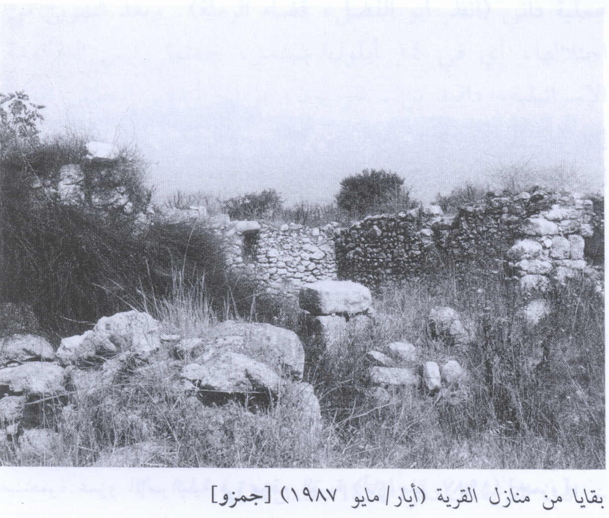 صورة لقرية جمزو - فلسطين: : أطلال بيوت القرية المدمرة 1987