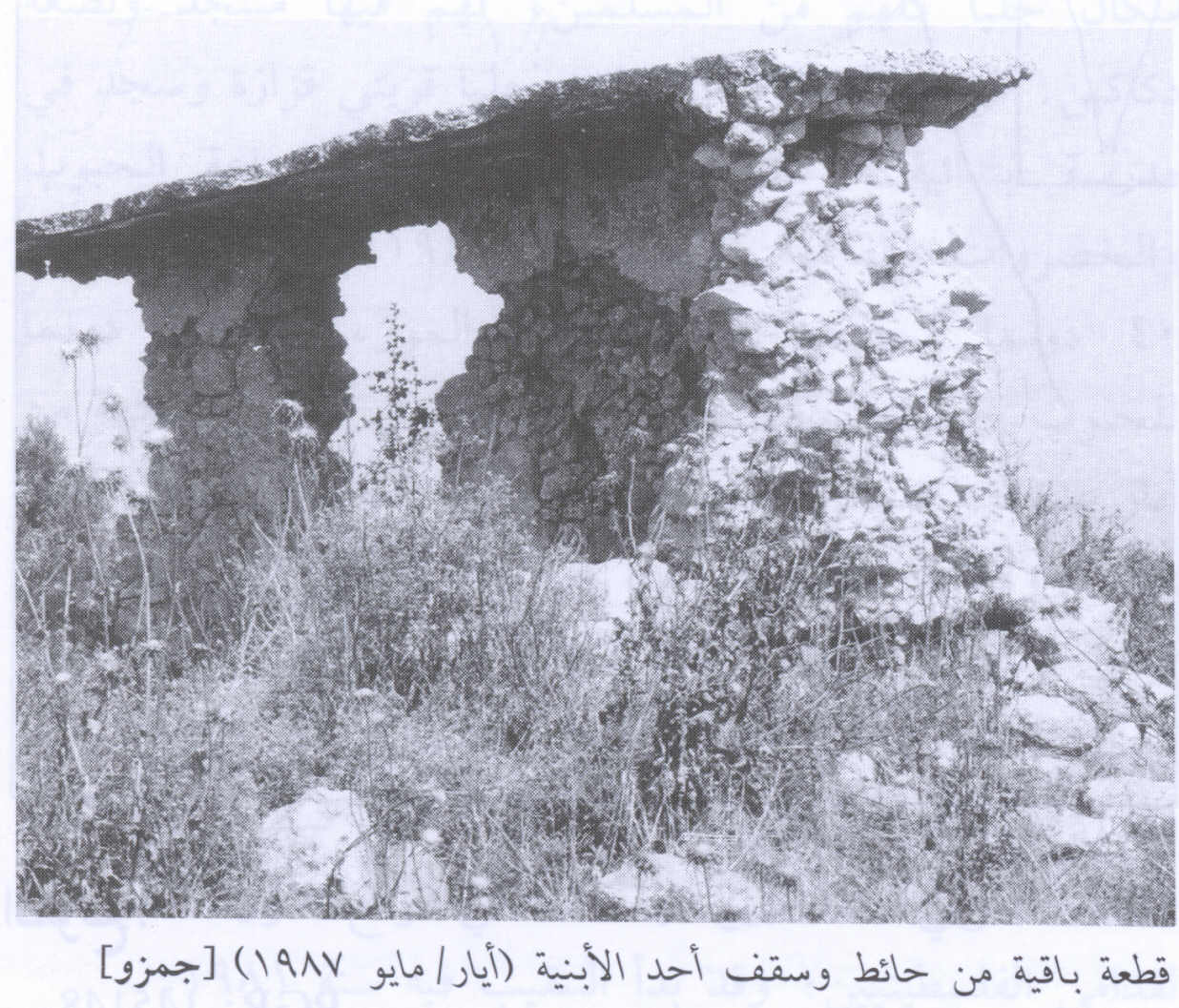 صورة لقرية جمزو - فلسطين: : أطلال بيوت القرية المدمرة#2 1987