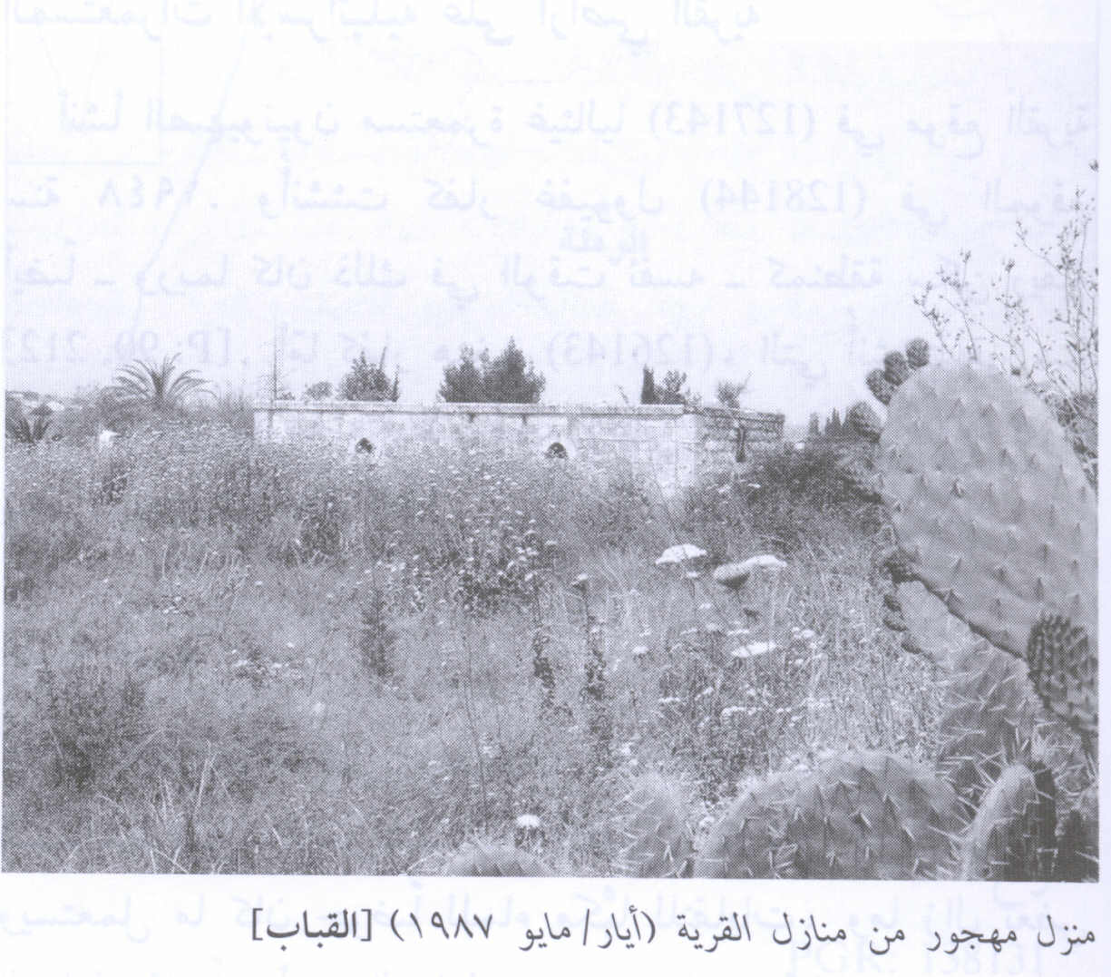 صورة لقرية القباب - فلسطين: : منزل المرحوم علي البيك، اُنقر الصورة لتكبيرها. 1987